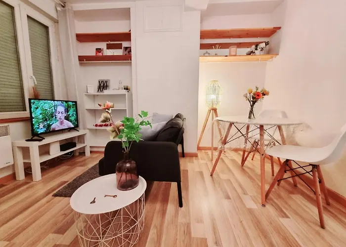 Apartement Lille Lille